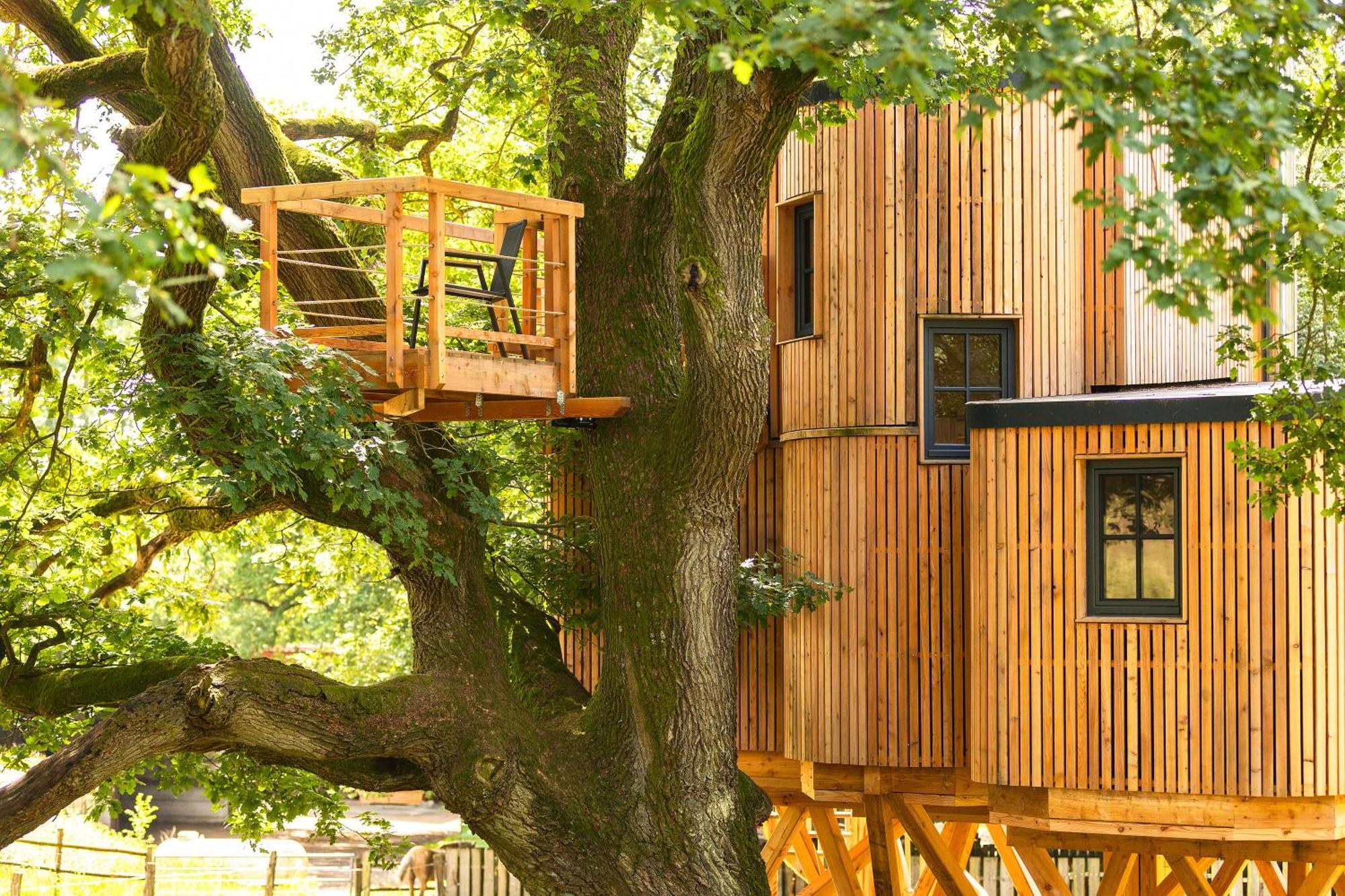 Heide Ferien - Hof Bockelmann Apartment บิสพิงเงน ห้อง รูปภาพ