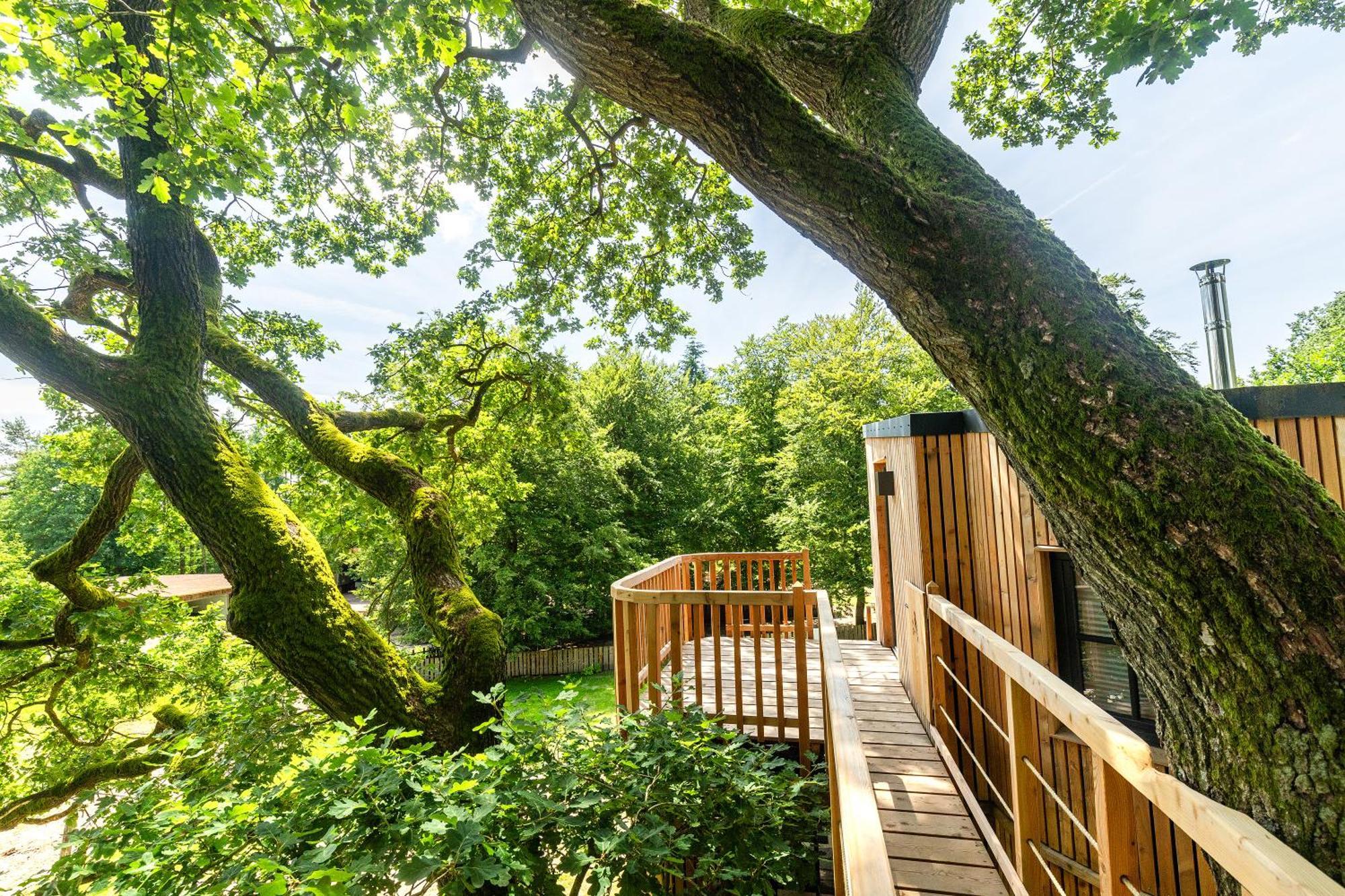 Heide Ferien - Hof Bockelmann Apartment บิสพิงเงน ห้อง รูปภาพ