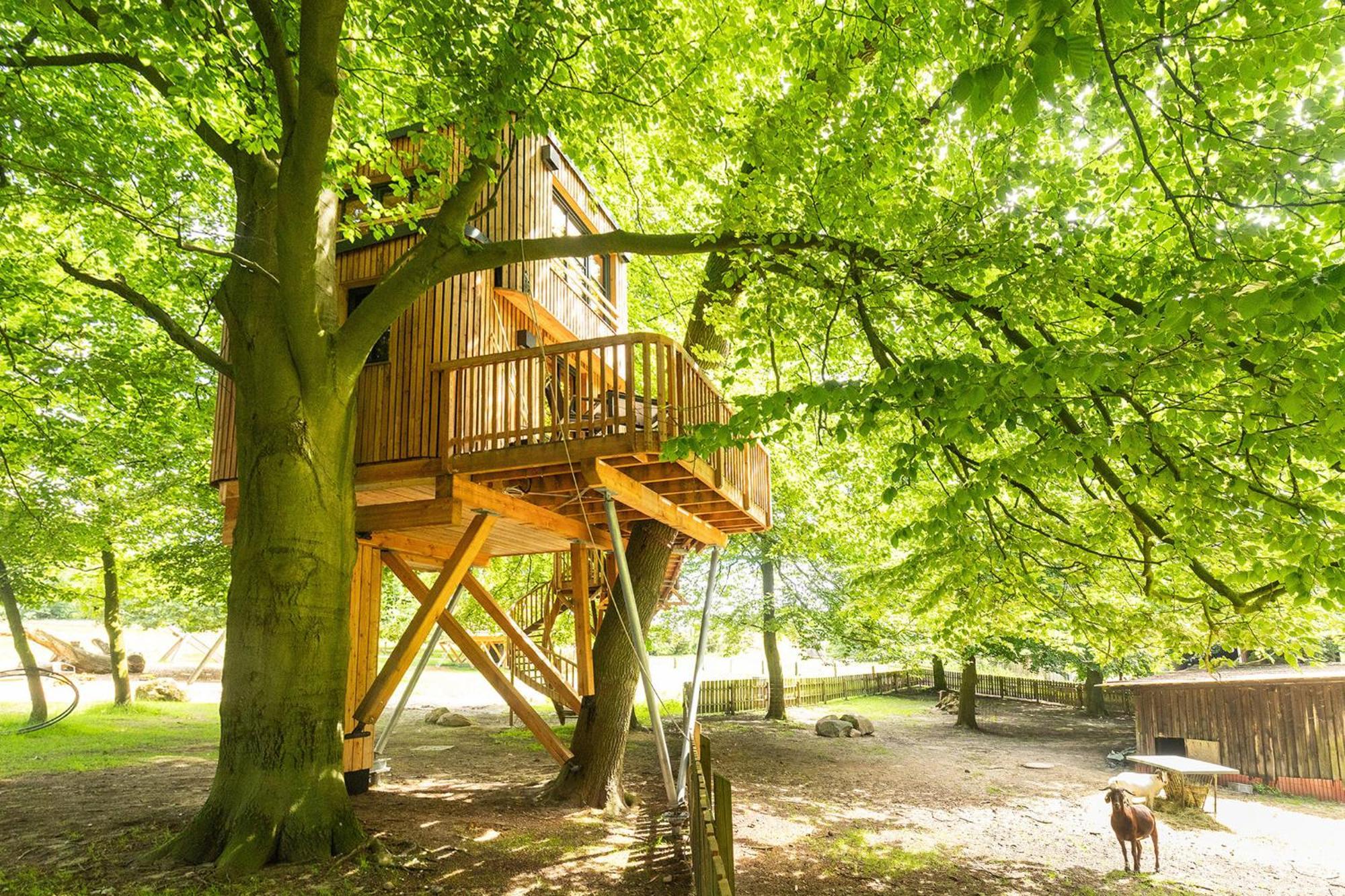 Heide Ferien - Hof Bockelmann Apartment บิสพิงเงน ภายนอก รูปภาพ