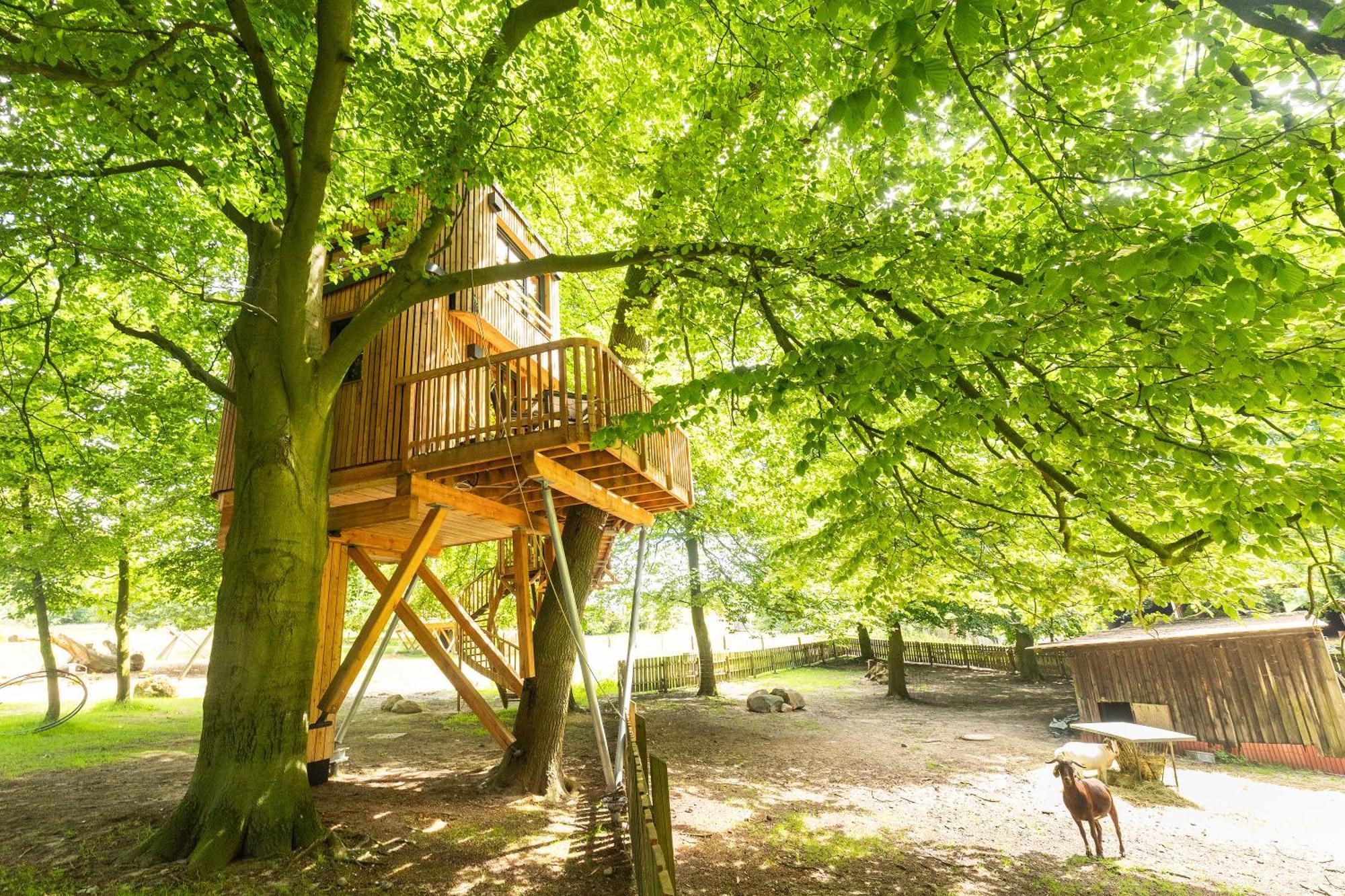 Heide Ferien - Hof Bockelmann Apartment บิสพิงเงน ห้อง รูปภาพ
